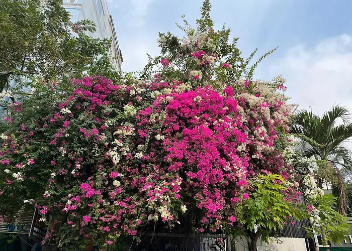 Hotel Nguyen Anh