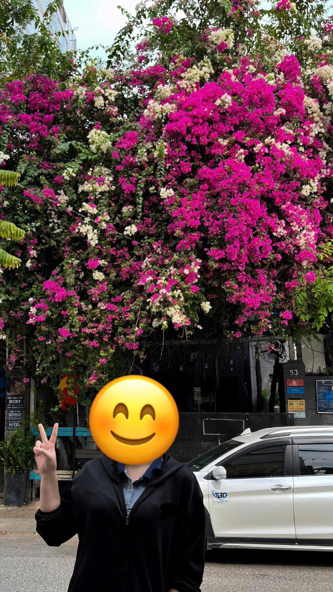 Nguyen Anh Отель *