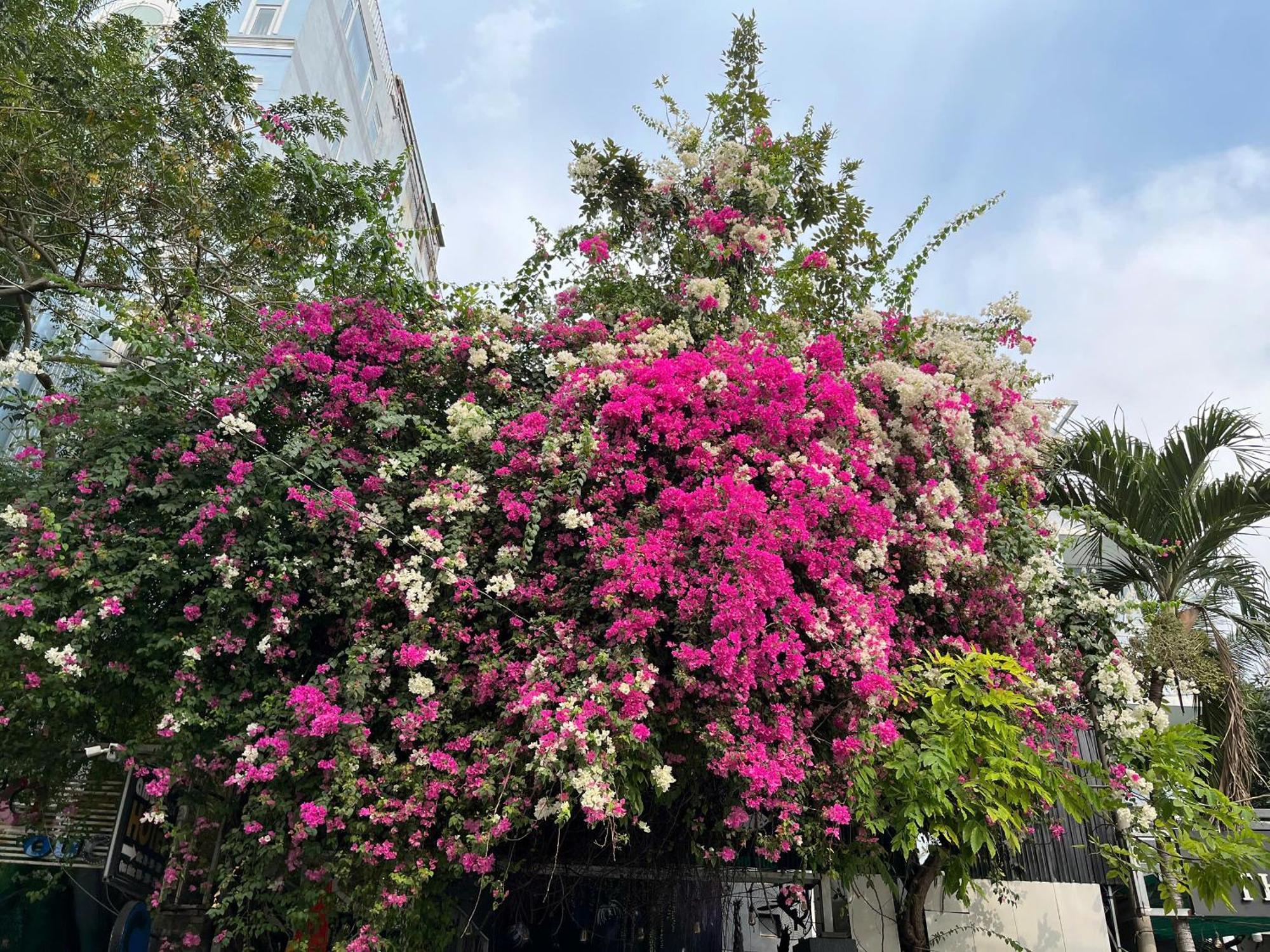 होटल Nguyen Anh Ho Chi Minh City